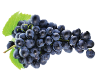 Seedless Black Grapes PNG - Esquilo.io